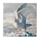 Suche nach bernard fliesen Schnee