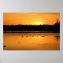 Suche nach enten poster Natur