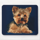Suche nach yorkie mousepads Hunde
