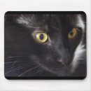 Suche nach nasen mousepads Katze