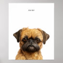 Suche nach griffon poster Niedlich