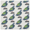 Suche nach taube stoffe Vogelvogel