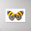 Suche nach schmetterling leinwandbilder Girly