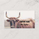 Suche nach kuh visitenkarten Ranch