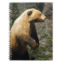 Suche nach braunbär kleine notizbücher Tragen