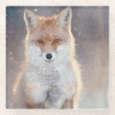 Suche nach niedlicher fuchs untersetzer Wild
