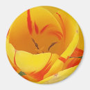 Suche nach schöne tulpen magnete Quelle