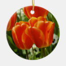 Suche nach tulpe ornamente Natur