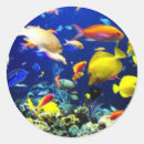 Suche nach fischaufkleber Goldfisch
