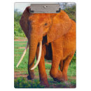 Suche nach afrikanische tiere klemmbrett Tierwelt