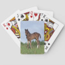 Suche nach grass spielkarten Horse