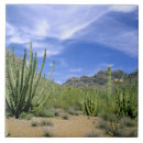 Suche nach monumente fliesen Trocken