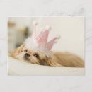 Suche nach krone postkarten Tier