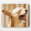 Suche nach lachende mousepads Hund