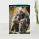 Suche nach ape karten Spaß