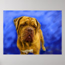 Suche nach dogue poster Französisch