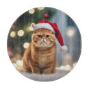 Suche nach lustige katzen schneidebrettchen Kätzchen