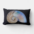 Suche nach nautilus muschel kissen Natur