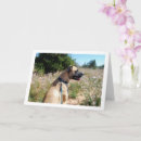 Suche nach wildflowers karten Birthday