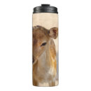 Suche nach weißer schwanz tassen Wild