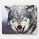 Suche nach graue wölfe mousepads Tiere