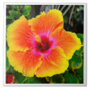 Suche nach schöne blume fliesen Bunt