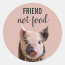 Suche nach schwein niedlich aufkleber Vegan