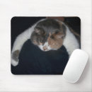 Suche nach lustiges katzen foto mousepads Niedlich