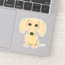 Suche nach kurzhaar Hund