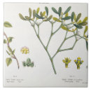 Suche nach vegen fliesen Botanisch