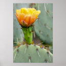 Suche nach stachelig poster Birne