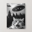 Suche nach lustig katzen buttons Für ihn