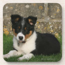 Suche nach mund untersetzer Hund