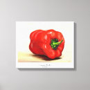 Suche nach paprika kunst Rot