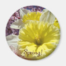 Suche nach der frühling magnete Natur
