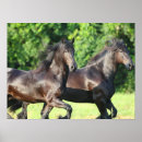 Suche nach friesian poster Laufen