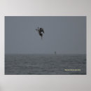 Suche nach pelican poster California