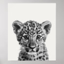 Suche nach baby leopard poster Dschungel