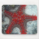 Suche nach korallenriff mousepads Nautisch
