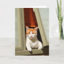 Suche nach katze in einem fenster karten Hallo