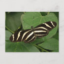 Suche nach tropische schmetterlinge postkarten Hübsch