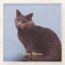 Suche nach blaue katze untersetzer Russisch