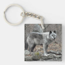 Suche nach grauer wolf schlüsselanhänger Wildtiere