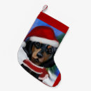 Suche nach dackel weihnachts strümpfe Dachshund