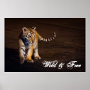 Suche nach babytiger poster Babytiere