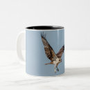 Suche nach osprey tassen Greifvögel