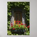 Suche nach große blumen poster Blumenfotografie