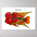 Suche nach cichlid poster Fisch