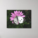 Suche nach rosa schmetterling leinwandbilder Weiß