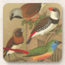 Suche nach liedvogel Vintag